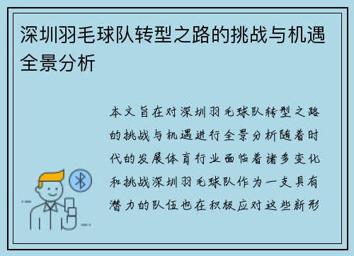 深圳羽毛球队转型之路的挑战与机遇全景分析